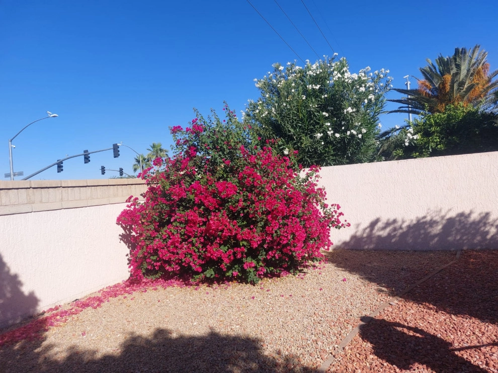 Wilfer Natural Landscape LLC 5 by PRO Natural Landscape LLC - Photo 5