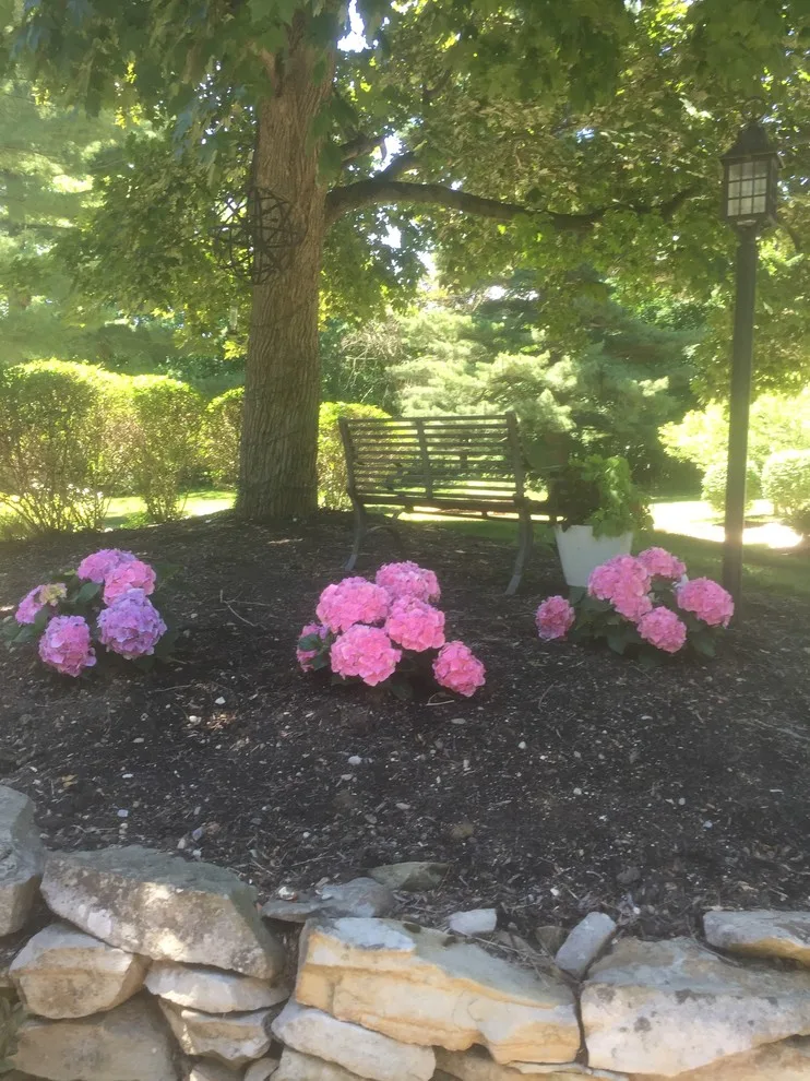 Outdoor Living Areas and Gardens by Monica Lukas Design - Photo 23