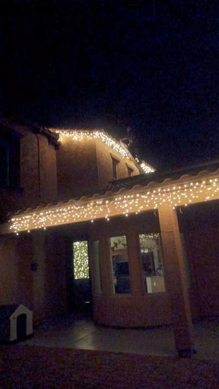 Wilfer Natural Landscape LLC2 by PRO Natural Landscape LLC - Photo 22
