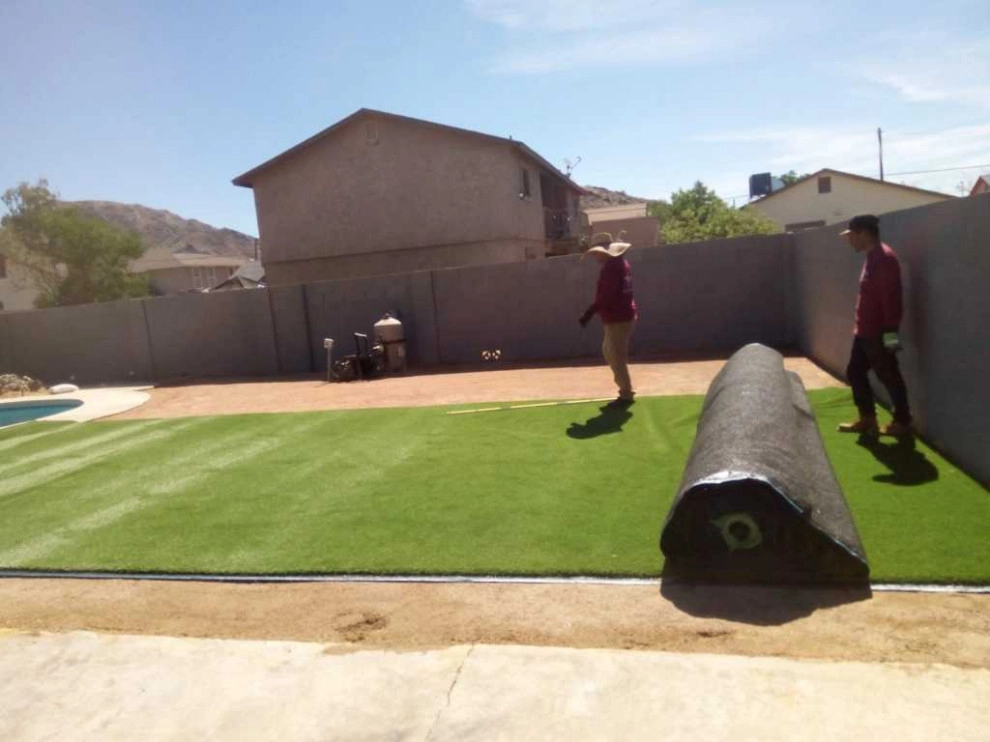 United Tree Pro Service LLC 7 by PRO Natural Landscape LLC - Photo 35
