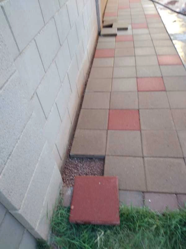 United Tree Pro Service LLC 7 by PRO Natural Landscape LLC - Photo 63