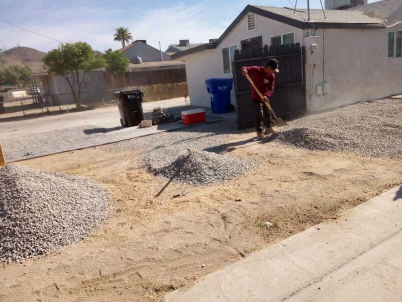 United Tree Pro Service LLC 7 by PRO Natural Landscape LLC - Photo 21
