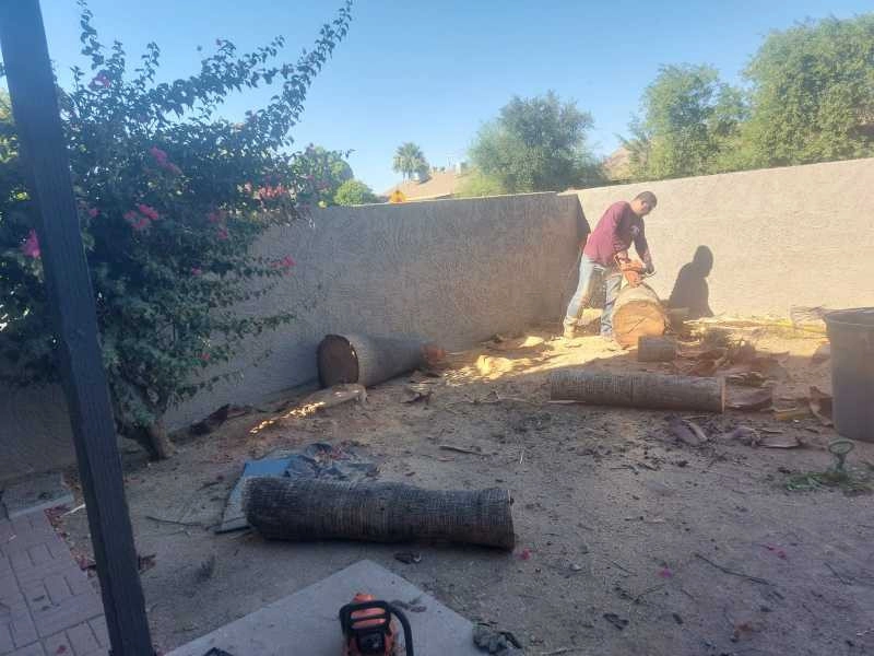 United Tree Pro Service LLC 7 by PRO Natural Landscape LLC - Photo 47