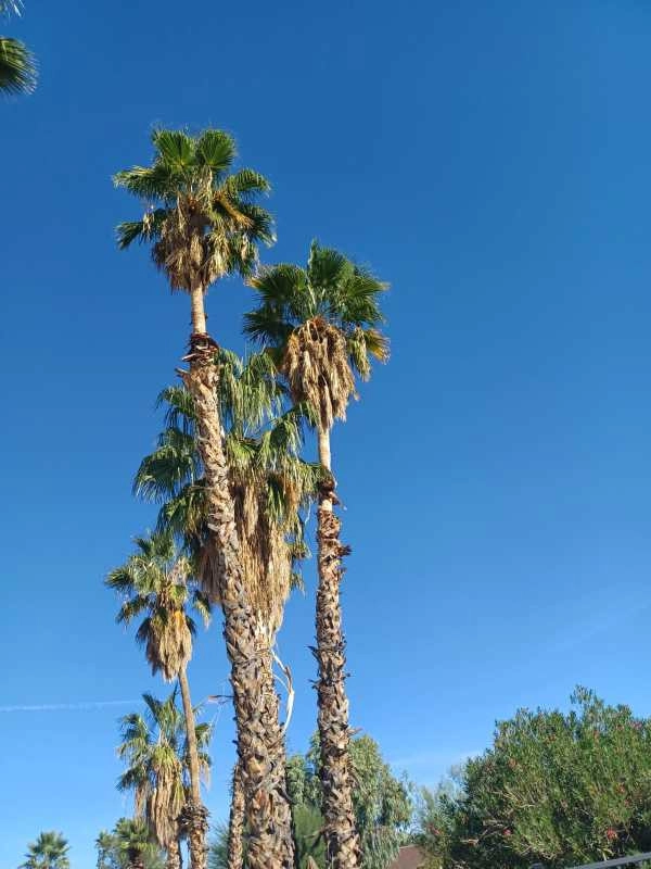Wilfer Natural Landscape LLC3 by PRO Natural Landscape LLC - Photo 95
