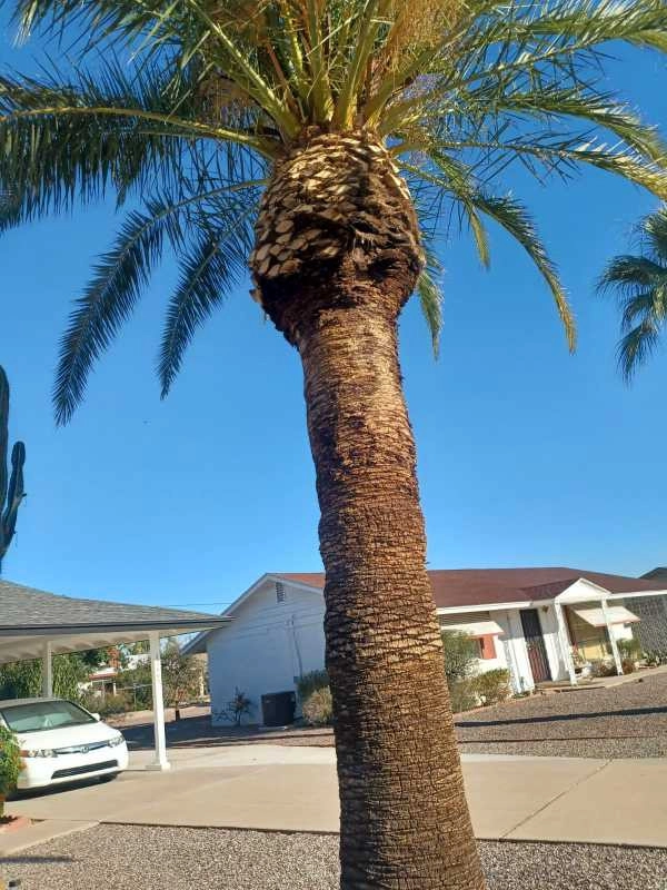 Wilfer Natural Landscape LLC3 by PRO Natural Landscape LLC - Photo 64