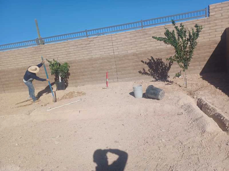 Wilfer Natural Landscape LLC3 by PRO Natural Landscape LLC - Photo 10