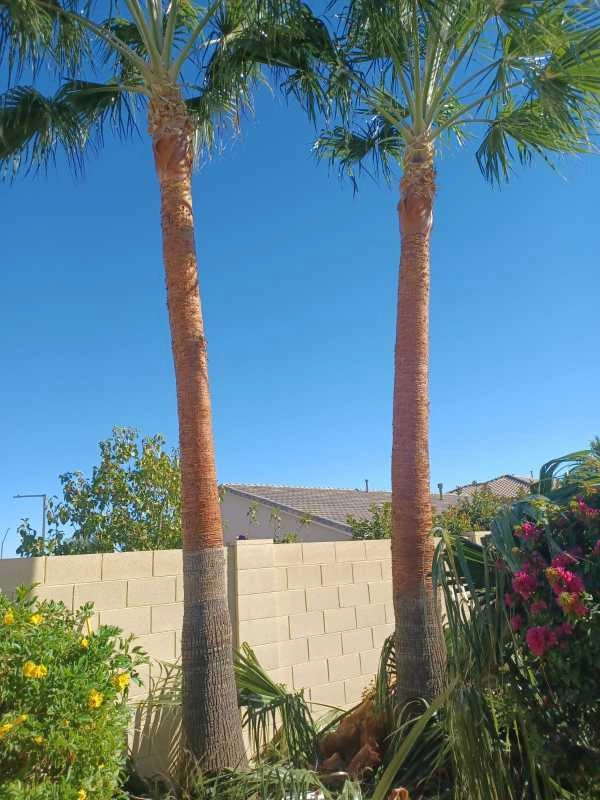 Wilfer Natural Landscape LLC3 by PRO Natural Landscape LLC - Photo 79