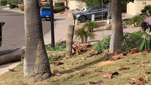 Wilfer Natural Landscape LLC3 by PRO Natural Landscape LLC - Photo 33