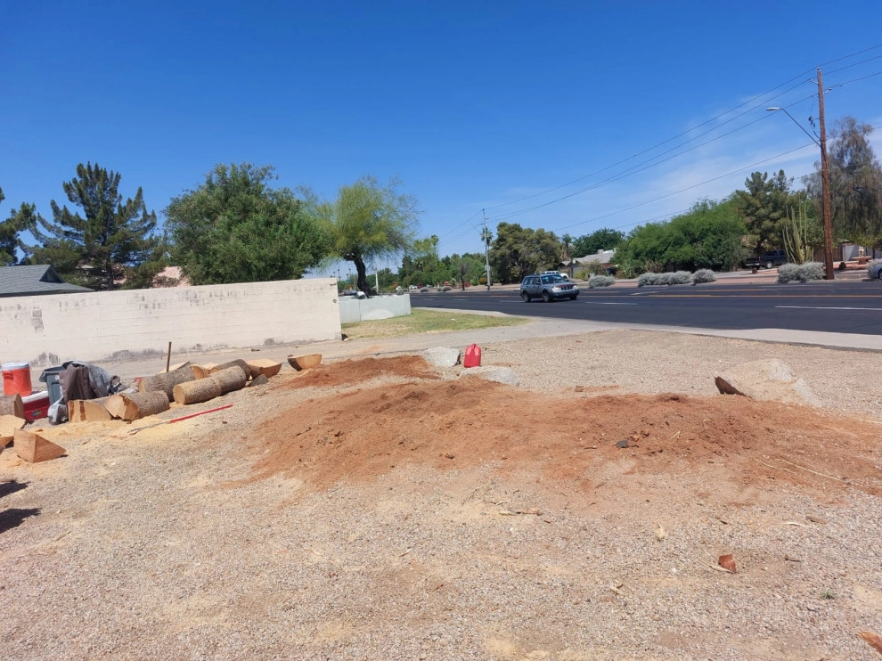 Wilfer Natural Landscape LLC (trimin Palm) by PRO Natural Landscape LLC - Photo 26