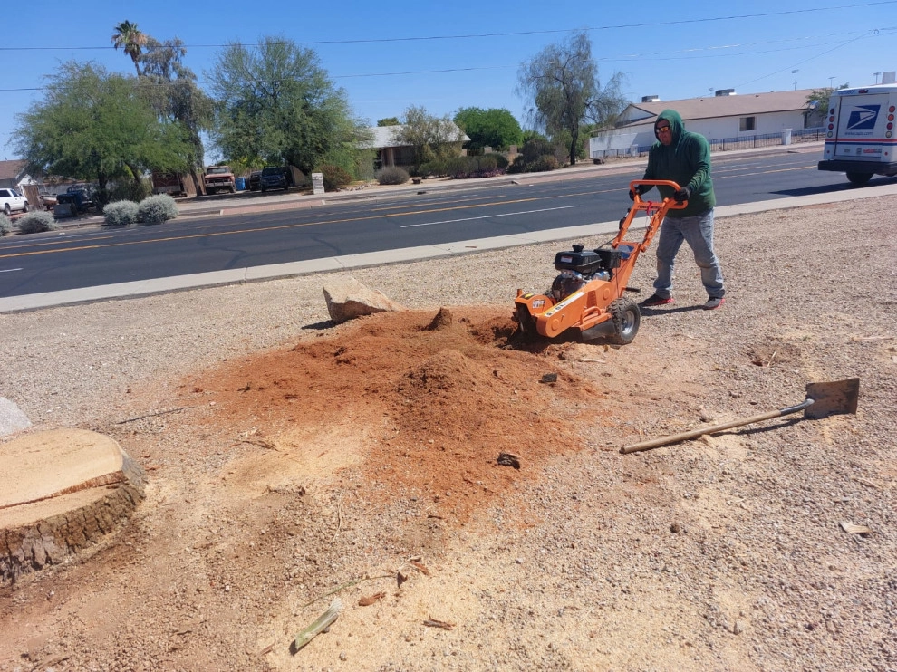 Wilfer Natural Landscape LLC (trimin Palm) by PRO Natural Landscape LLC - Photo 24