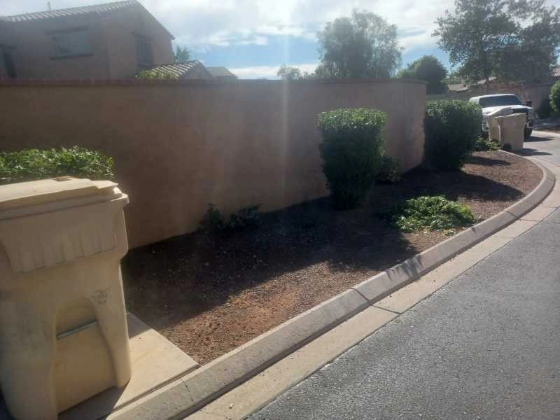 Wilfer Natural Landscape LLC1 by PRO Natural Landscape LLC - Photo 27