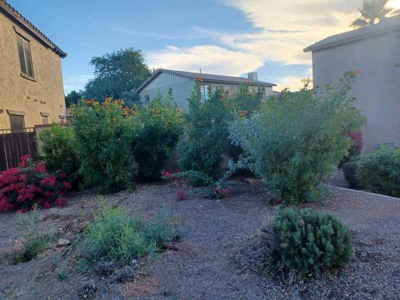Wilfer Natural Landscape LLC1 by PRO Natural Landscape LLC - Photo 68