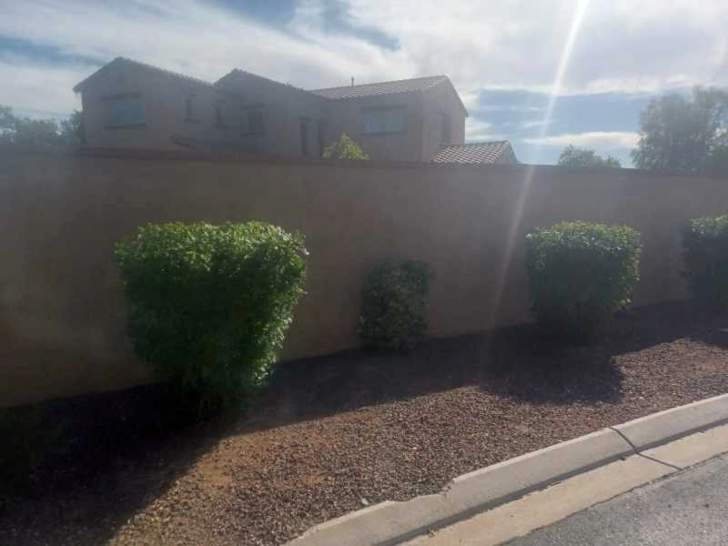 Wilfer Natural Landscape LLC1 by PRO Natural Landscape LLC - Photo 73