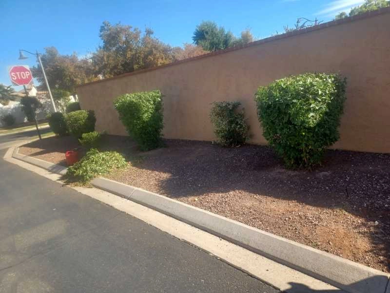 Wilfer Natural Landscape LLC1 by PRO Natural Landscape LLC - Photo 45