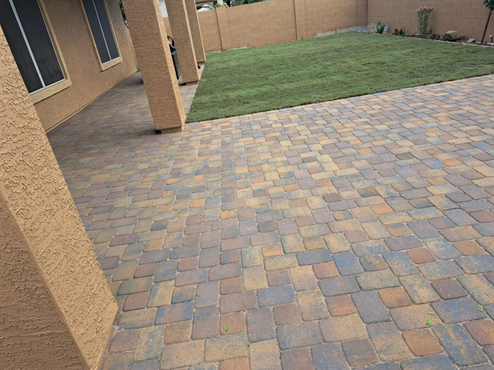 We have new paver cleaning and renovation services by PRO Natural Landscape LLC - Photo 52