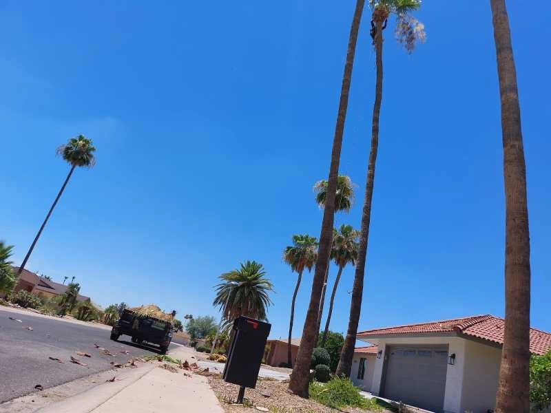 United Tree Pro Service LLC 7 by PRO Natural Landscape LLC - Photo 6