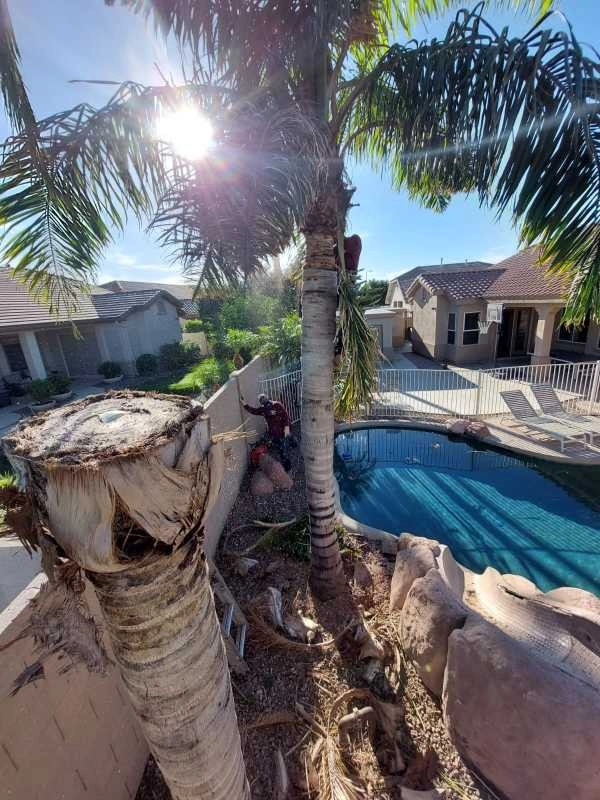 United Tree Pro Service LLC 7 by PRO Natural Landscape LLC - Photo 18