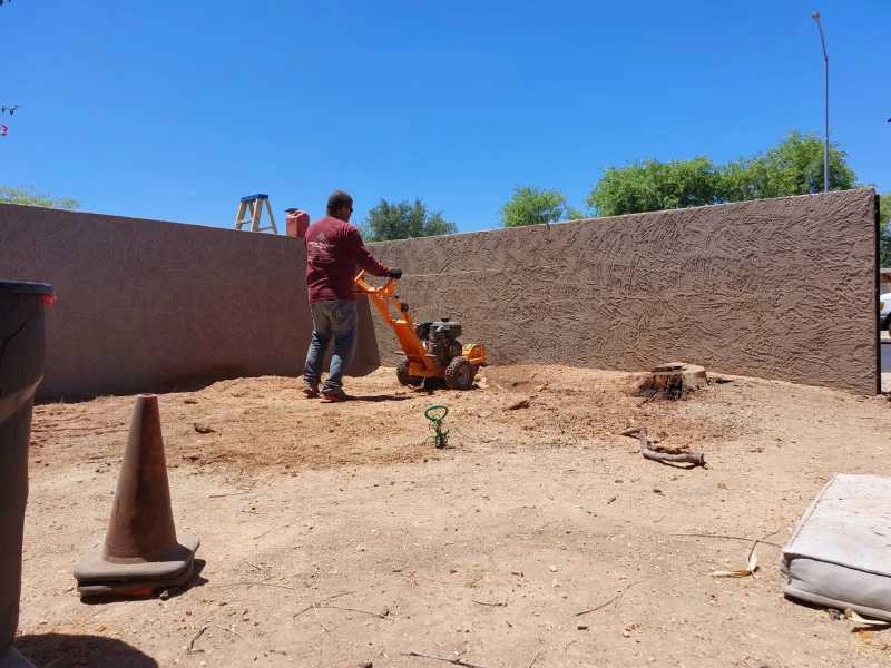 United Tree Pro Service LLC 7 by PRO Natural Landscape LLC - Photo 26