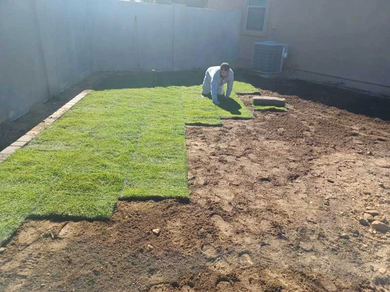 Wilfer Natural Landscape LLC3 by PRO Natural Landscape LLC - Photo 12