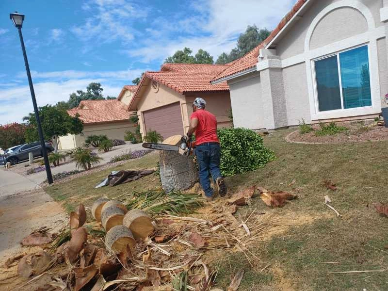 Wilfer Natural Landscape LLC3 by PRO Natural Landscape LLC - Photo 29