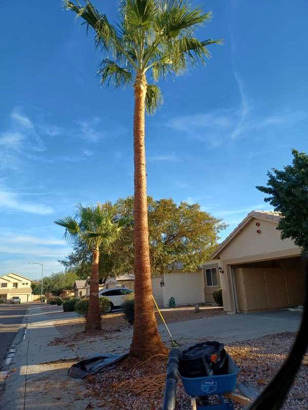Wilfer Natural Landscape LLC3 by PRO Natural Landscape LLC - Photo 30