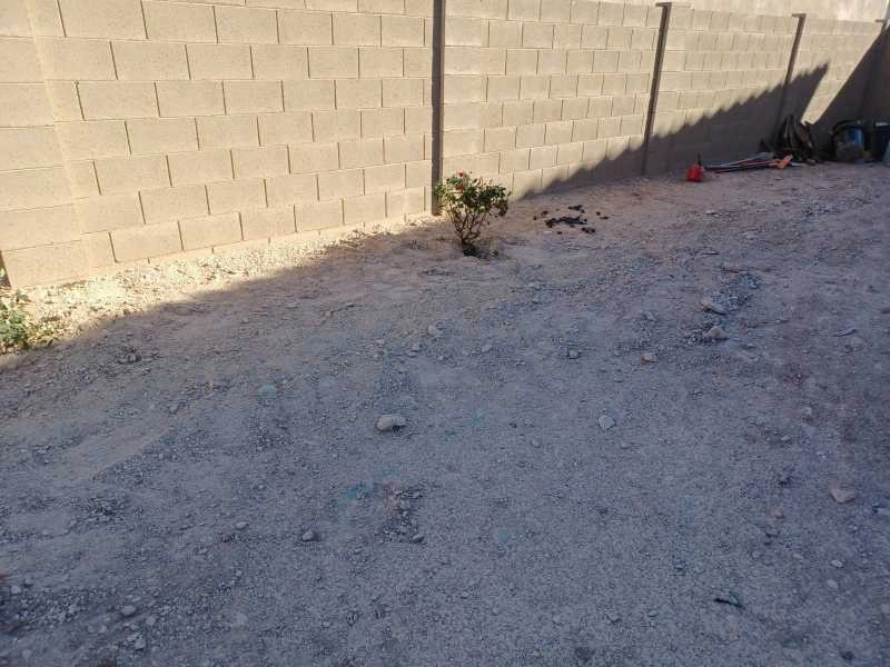 Wilfer Natural Landscape LLC3 by PRO Natural Landscape LLC - Photo 48