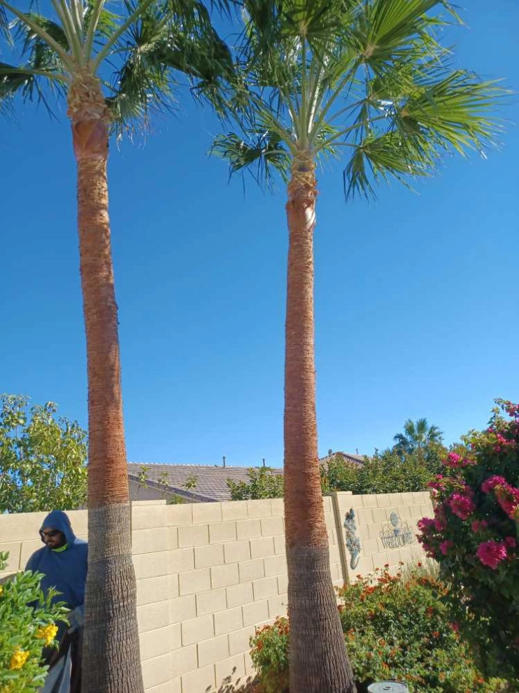 Wilfer Natural Landscape LLC3 by PRO Natural Landscape LLC - Photo 6