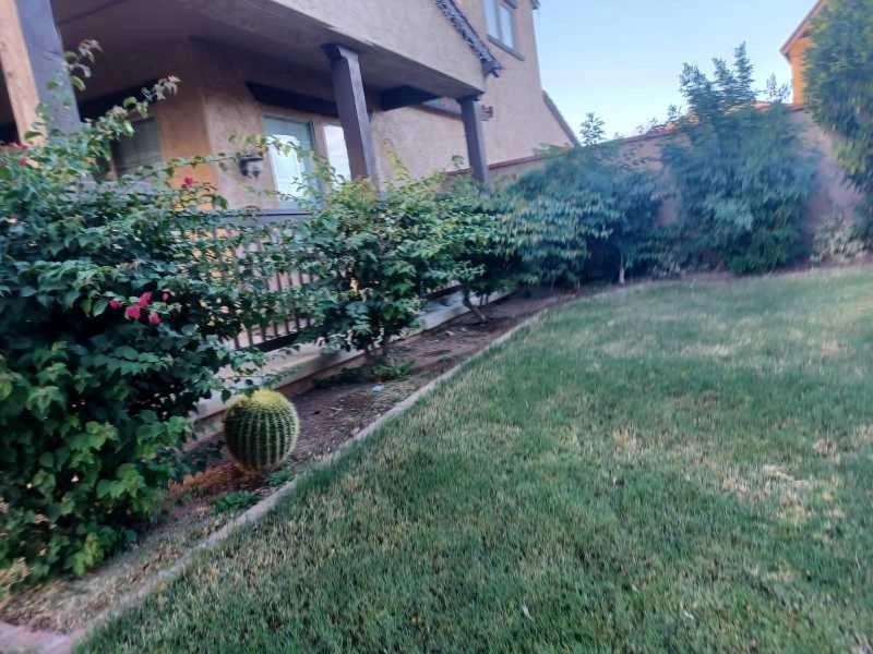 Wilfer Natural Landscape LLC1 by PRO Natural Landscape LLC - Photo 67