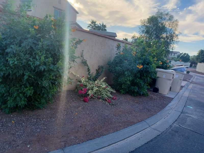 Wilfer Natural Landscape LLC1 by PRO Natural Landscape LLC - Photo 60