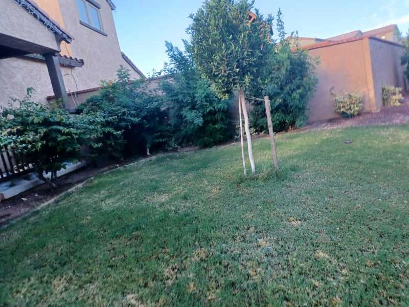Wilfer Natural Landscape LLC1 by PRO Natural Landscape LLC - Photo 63