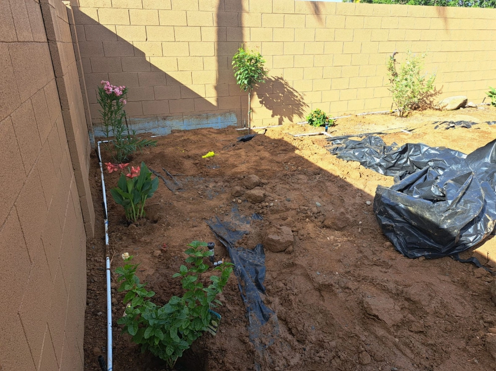 We have new paver cleaning and renovation services by PRO Natural Landscape LLC - Photo 56