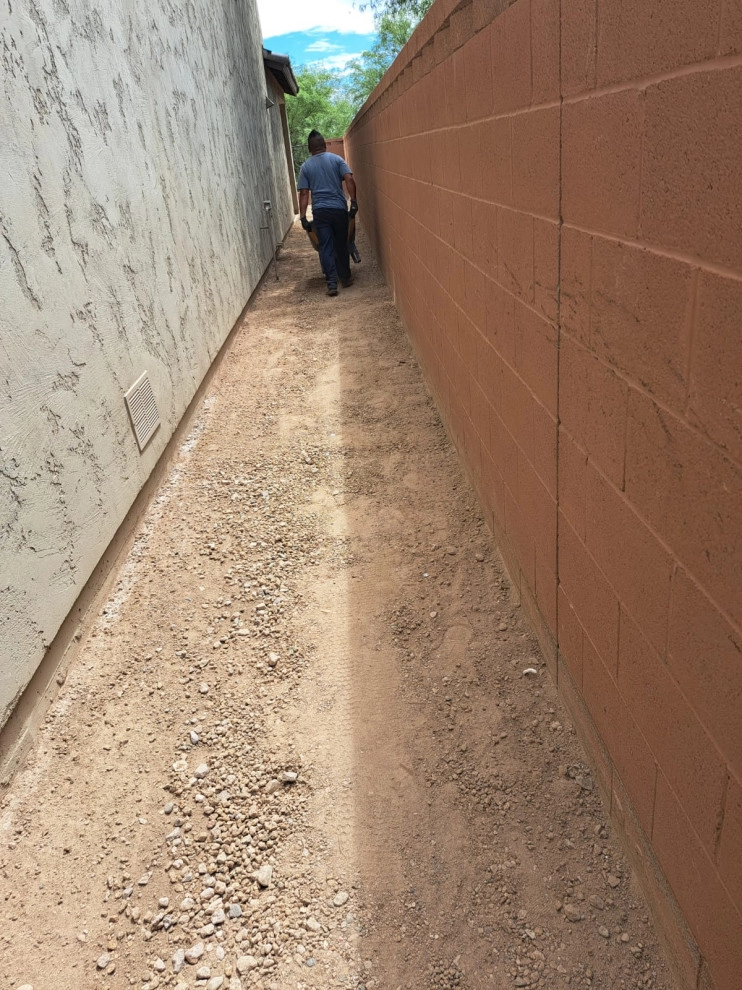 We have new paver cleaning and renovation services by PRO Natural Landscape LLC - Photo 54