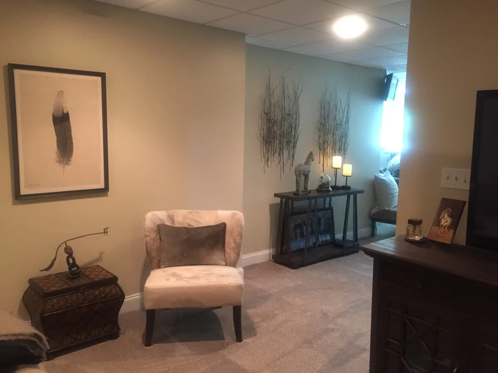 Paula and Bill's underground space by Sylvie Del Duca Interior Designs Services - Photo 7