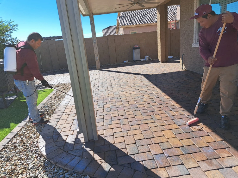 Sealing paver service by PRO Natural Landscape LLC - Photo 5