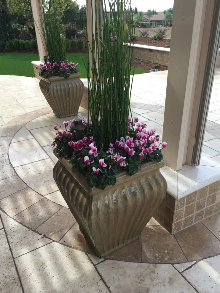 Lincoln Front Yard & Backyard Makeover by Professional Image Landscaping - Photo 4