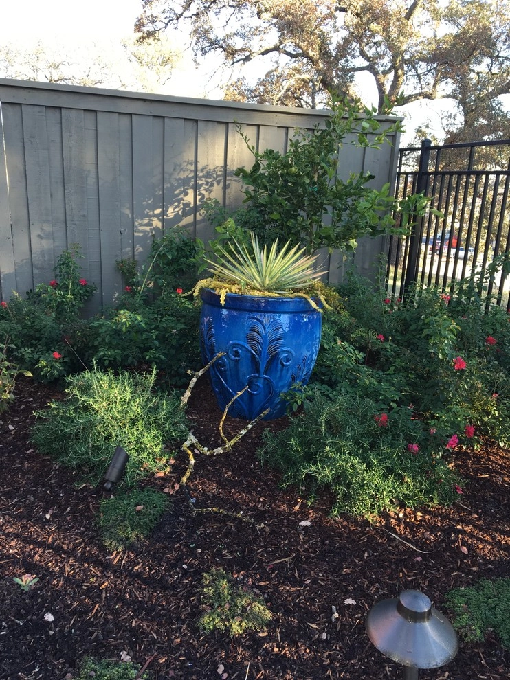 Roseville Backyard by Professional Image Landscaping - Photo 5