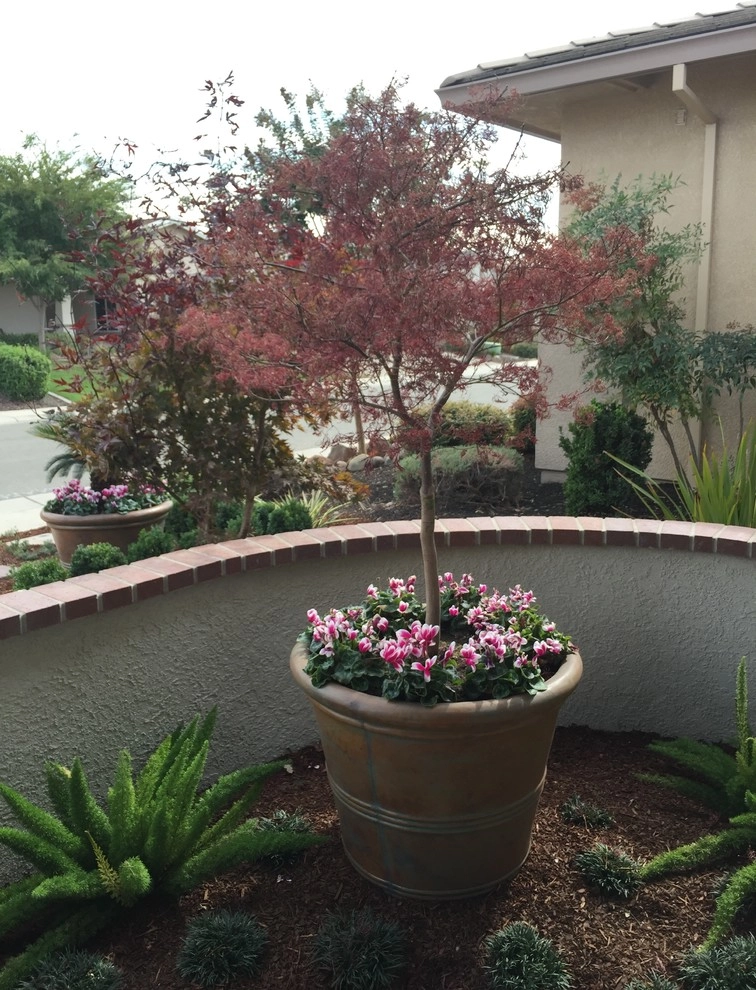 Lincoln Front Yard & Backyard Makeover by Professional Image Landscaping - Photo 5