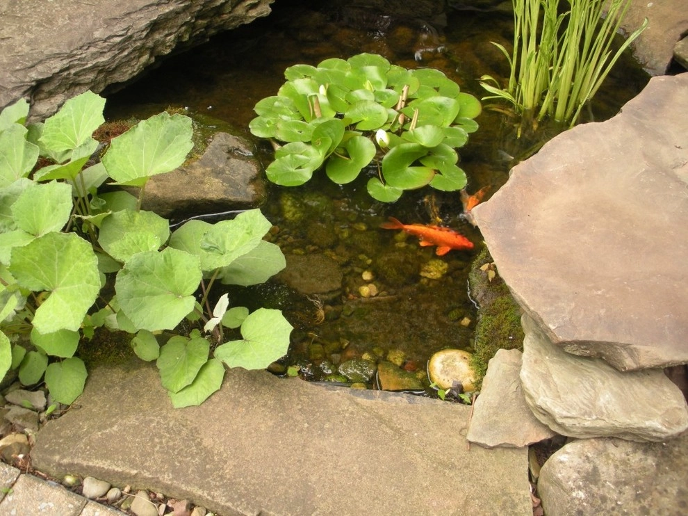 Waterscapes by Professional Landscape Services, Inc. - Photo 4