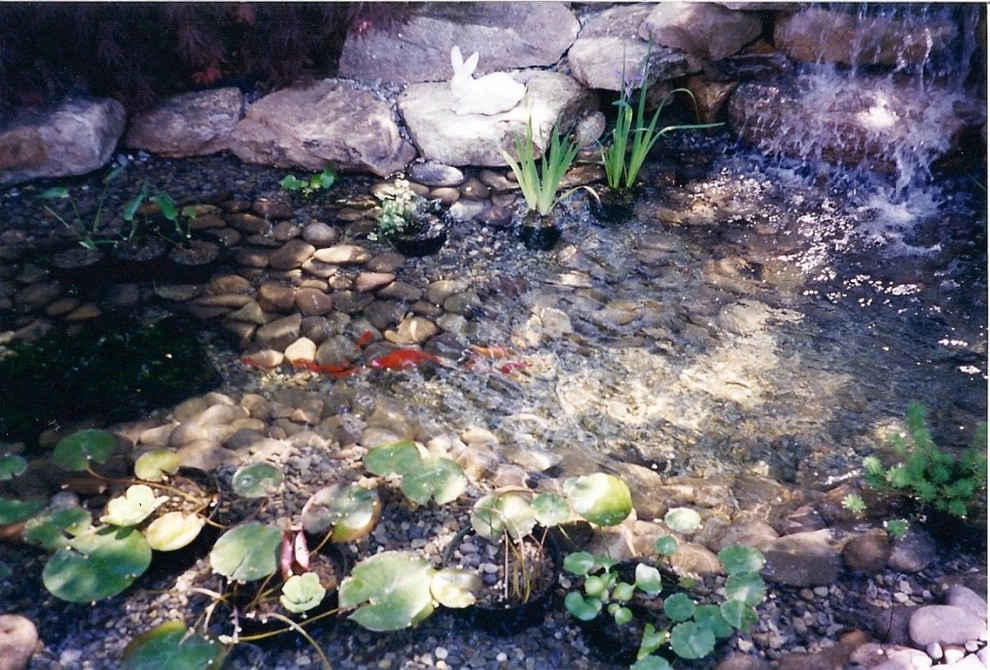 Waterscapes by Professional Landscape Services, Inc. - Photo 6