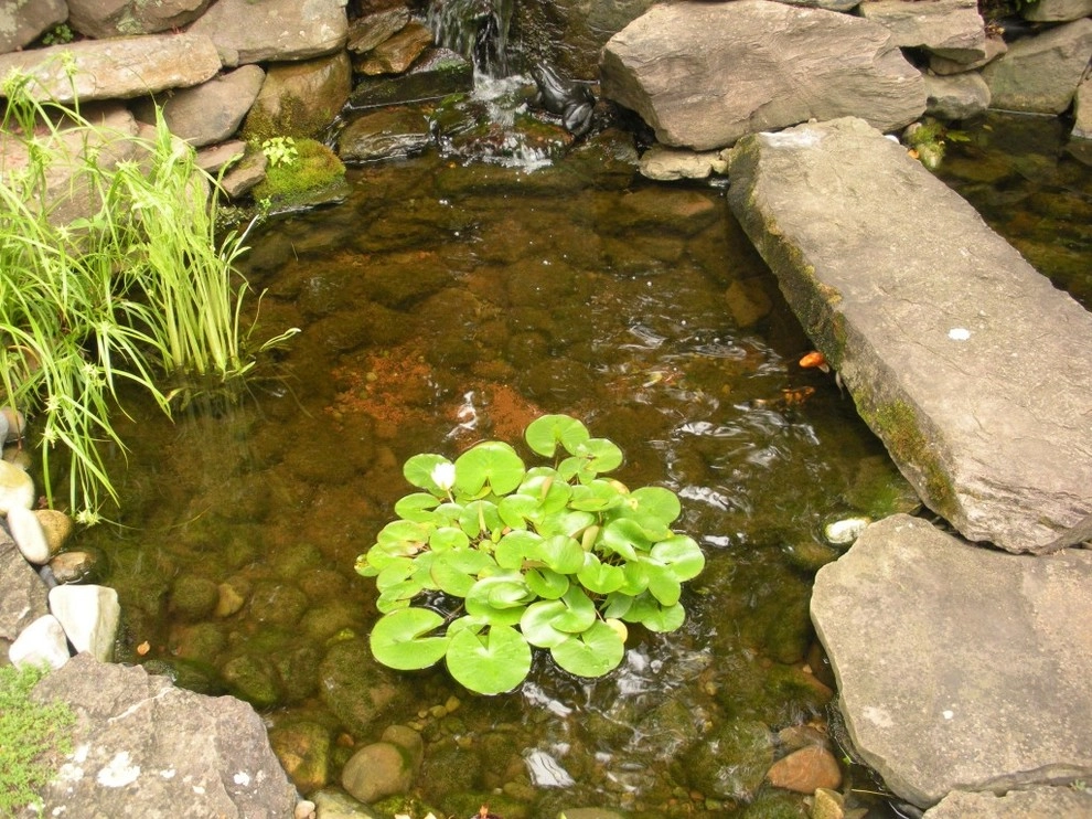 Waterscapes by Professional Landscape Services, Inc. - Photo 3