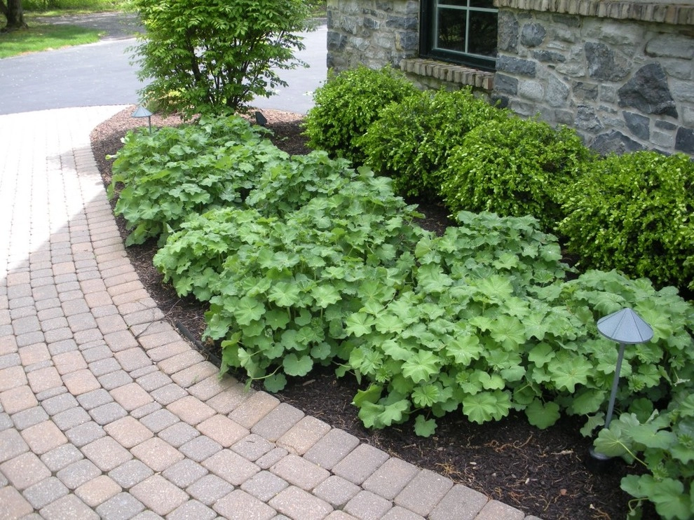 Professional Landscape Services, Inc. - Photo 3