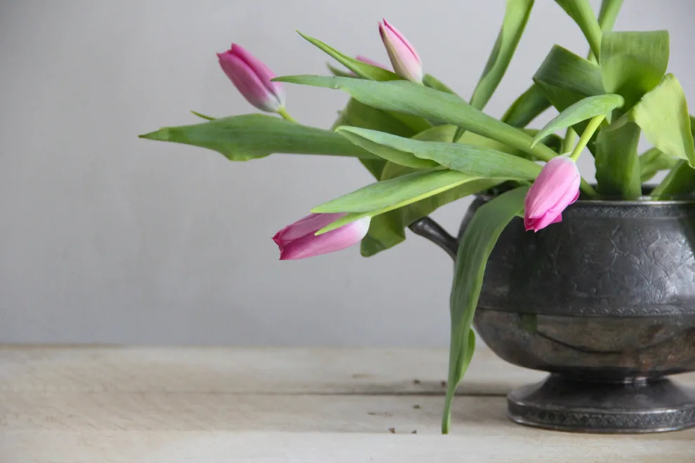 Pleasant Avenue by Wild Madder Design - Photo 2