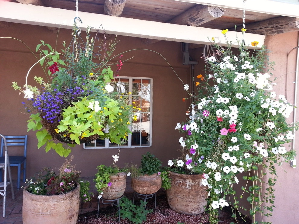 Proscape Landscape Management - Photo 13
