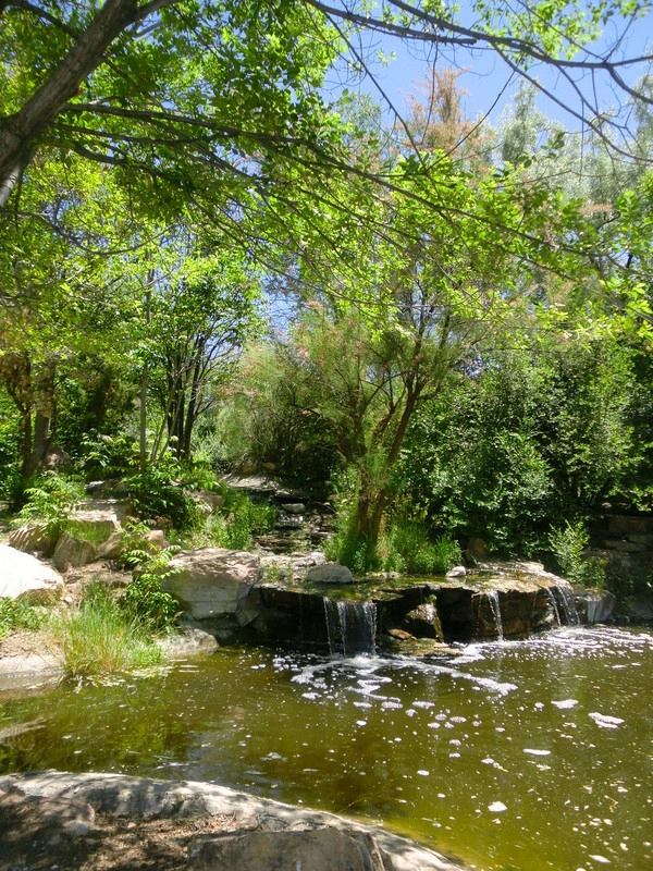 Proscape Landscape Management - Photo 2