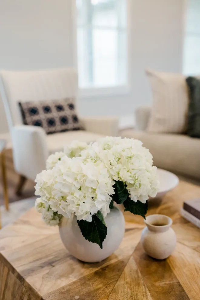 Bourbon Lane Project / Staging Design / Bryan, TX by Adele Interiors - Photo 29