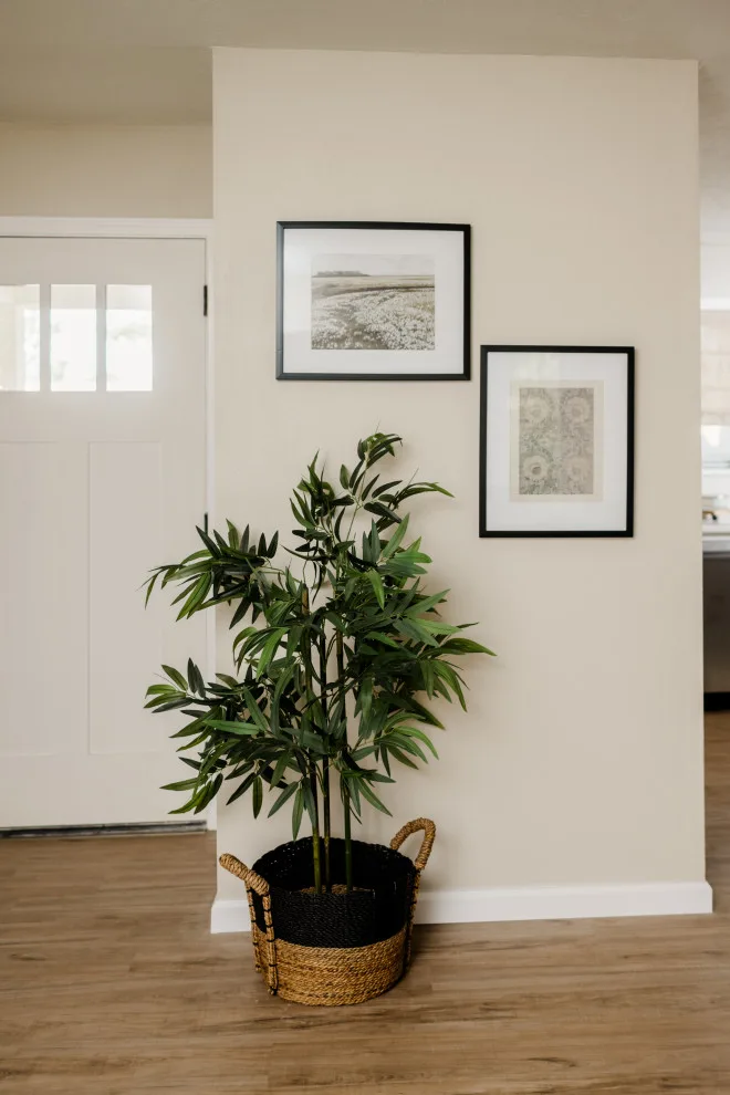 Project Burton / Phase / Bryan, TX by Adele Interiors - Photo 2