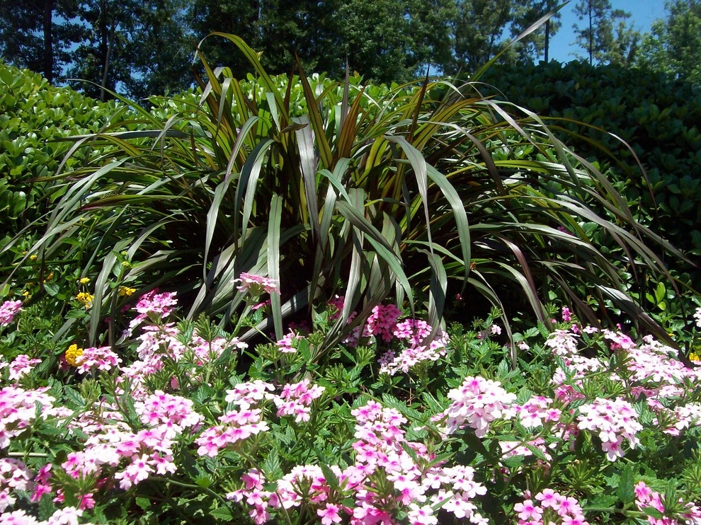 Annual Beds by Providence Landscaping, LLC - Photo 3
