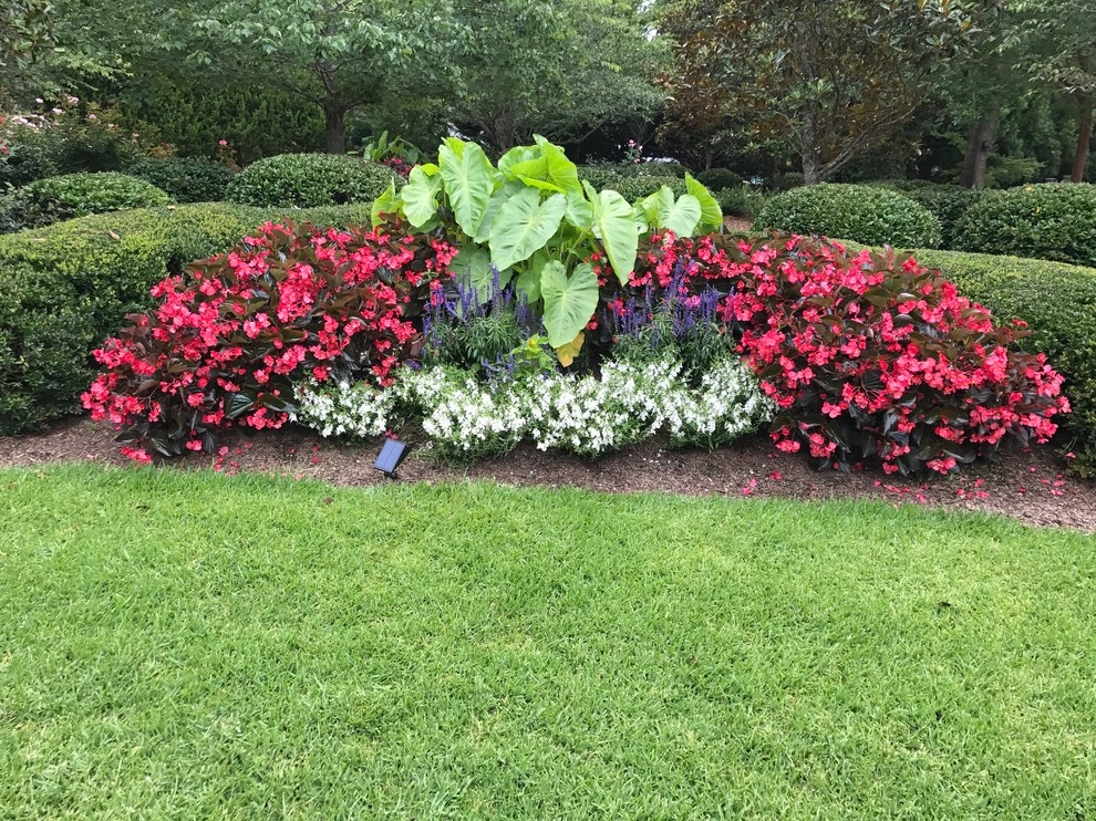 Annual Beds by Providence Landscaping, LLC - Photo 2