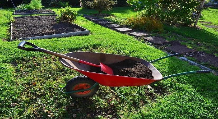 Lawn Care by Prunin Arboriculture & Landscape - Photo 4