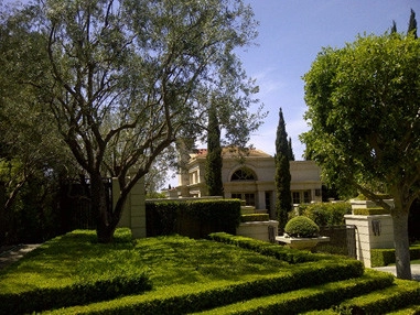 Lawn Care by Prunin Arboriculture & Landscape - Photo 3
